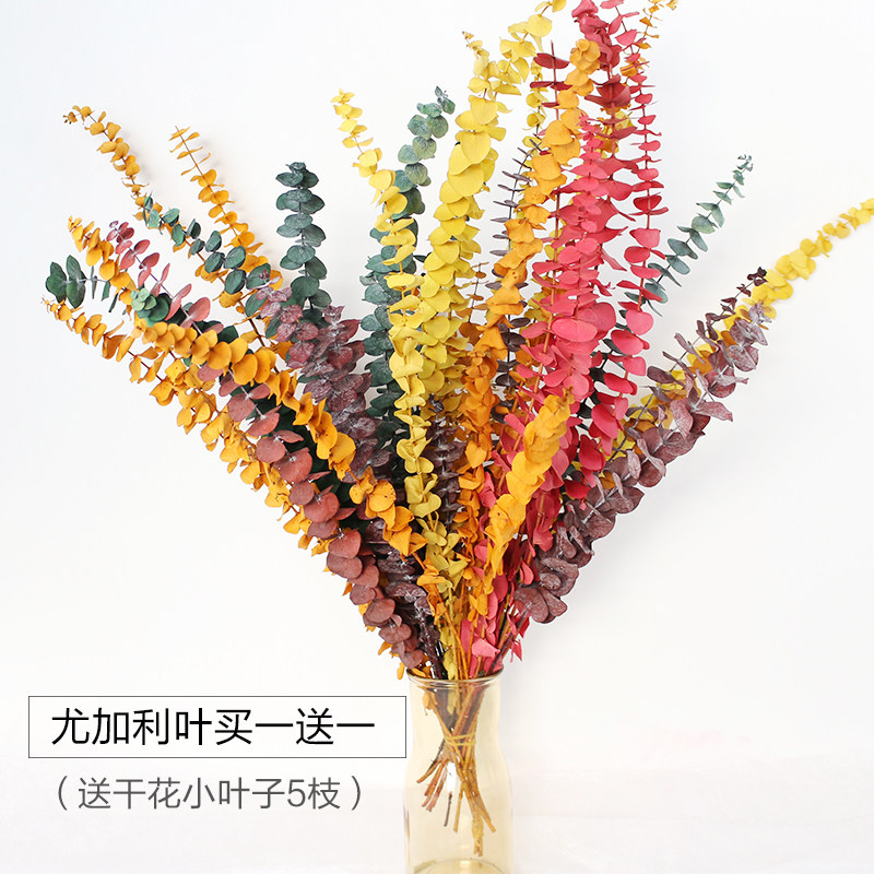 尤加利叶天然干花永生花苹果桉尤加利ins北欧文艺系家居装饰摆设在类目 鲜花速递/花卉仿真/绿植园艺, 永生花/干花, 干花中 - 来自Buy2taobao.com提供专业的淘宝代购服务
