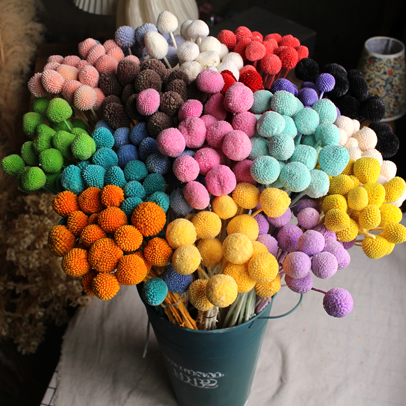 黄金球永生花云南diy家居装饰