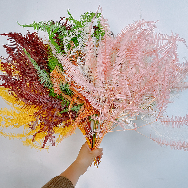 永生花芒齿叶天然真花干花花束插花摆件婚庆装饰布景拍摄道具蕨叶