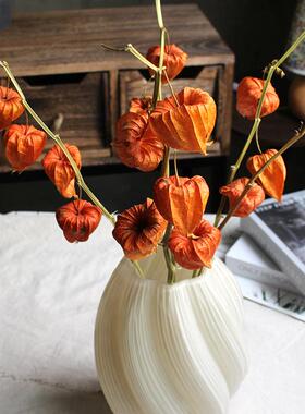 干花酸浆果真花干枝灯笼果高级感橙色秋冬家居装饰插花橱窗餐厅