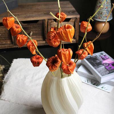 酸浆果天然原杆干花长枝装饰插花