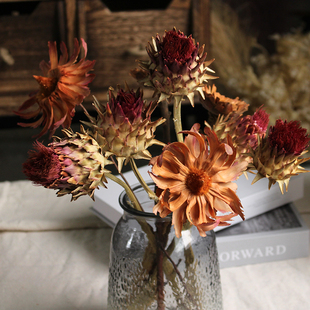 进口高端花材霸王花真花干花凤凰花小众花材装饰插花摆设软装陈设