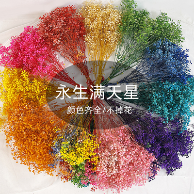 满天星干花永生花云南工厂直发