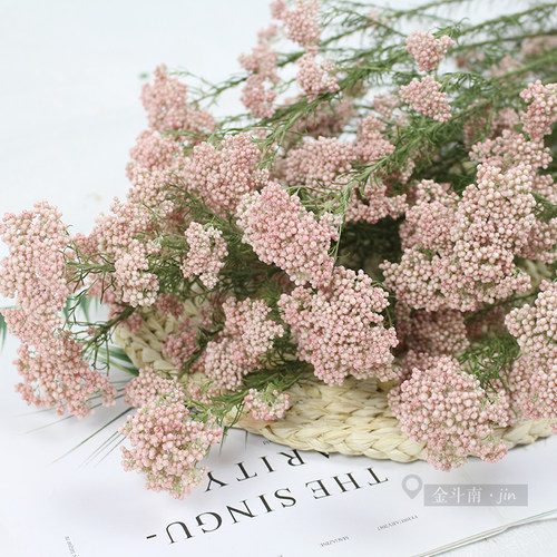 小清新米花永生花可存放2年左右