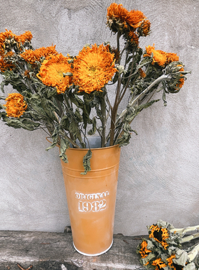 泰迪向日葵天然干花花束真花客栈民宿软装装饰花材家居插花拍摄道