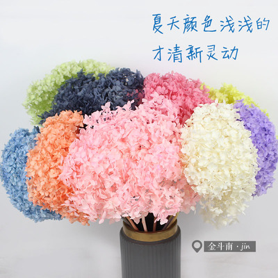 云南安娜滴胶耳环单枝小叶永生花