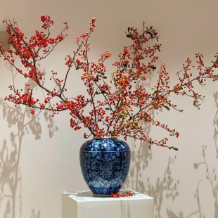 永生花火棘果干花天然真花喜庆吉祥装饰摆设插花造景软装红火把果