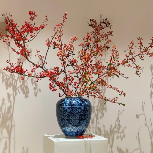 干花火棘果永生花吉祥喜庆红果