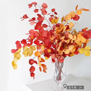 永生尤加利圆叶轻奢北欧装饰摆设叶子进口苹果桉家居样板房插花束