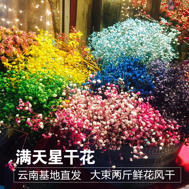 彩色满天星干花云南特色真花风干花束昆明斗南直发家居商业装饰