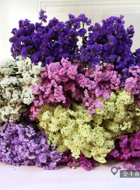 称斤勿忘我一公斤鲜花风干云南斗南花农直销吊顶实惠干花装饰插花