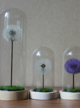 迷你玻璃罩迷你玻璃罩手工小王子