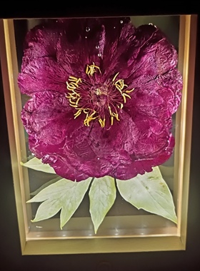 洛阳牡丹鲜花标本夜灯龙门旅游文化礼品摆件客厅禅意书房家居装饰