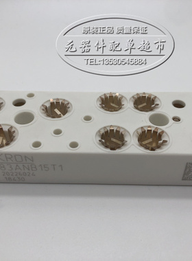 SKIIP83ANB15T1 SKIIP81AC12IT1 SKIIP82AC12IT1 SKIIP83AC12IT1