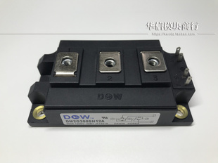 DM2G300SH12A IGBT模块  全新原装 正品 现货供应