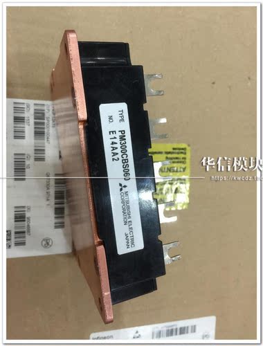 PM300CBS060 质量保证 当天发货