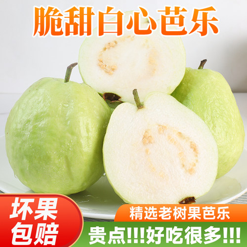 【顺丰可选】脆甜白心芭乐新鲜当季孕妇水果番石榴包邮送酸梅粉