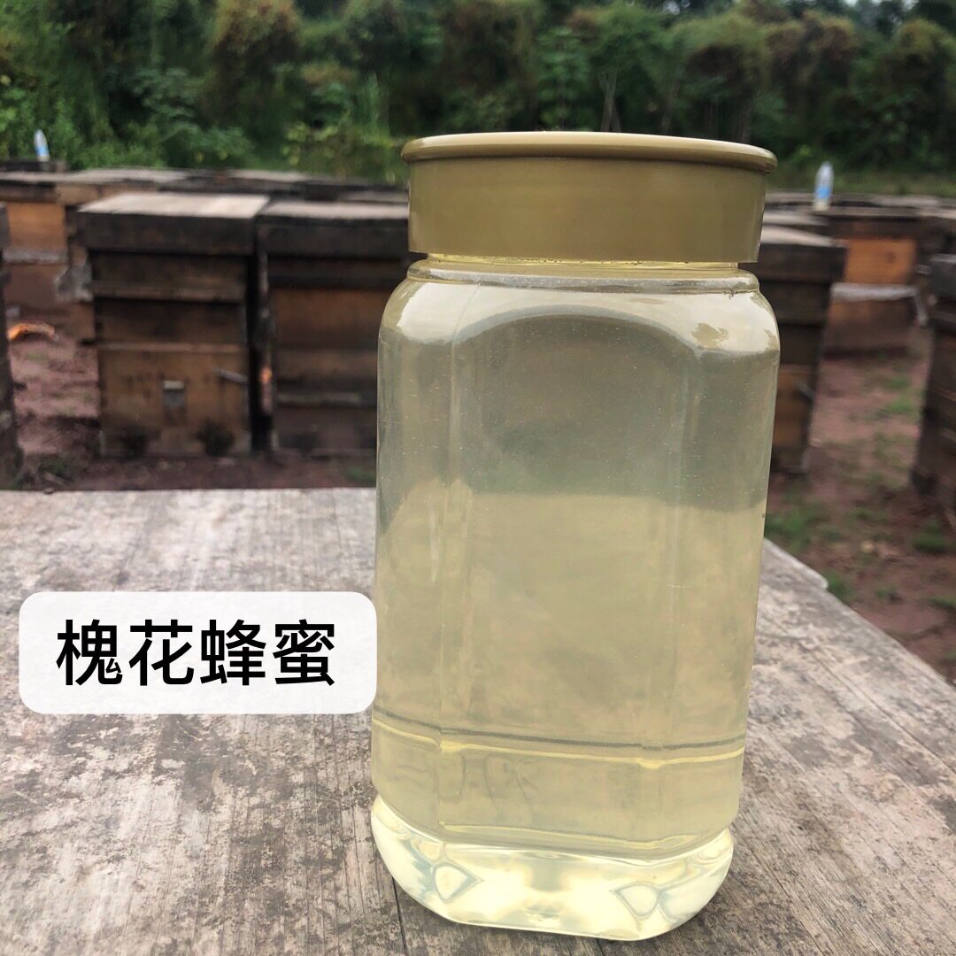 李美扬槐花蜜2026年新鲜养蜂人自产自销
