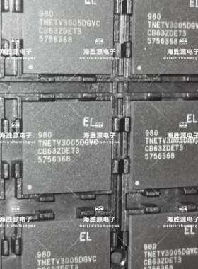 TNETV3005DGVC  TNETN3005 BGA 全新原装现货 可直拍