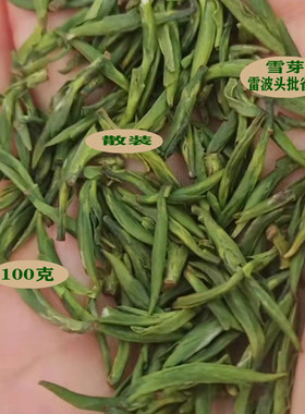 春季茶叶2026日照绿茶大凉山雷波特产西宁头批散装雪芽明前茶芽