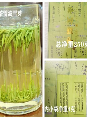 2026茶叶新茶明前雨后茶凉山雷特产玉竹雪芽日照高山云雾茶芽珍品