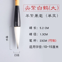 Большой размер и центы【Остроконечный фиолетовый белый журавль】