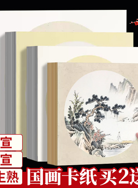 国画卡纸镜面宣纸生宣熟宣半生熟仿古作品书法专用生宣纸水墨画工笔毛笔美术正方形半熟画画麻纸软笔镜片画纸