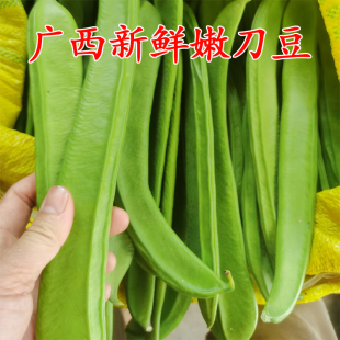 刀豆新鲜5斤包邮广西农家自种 时令蔬菜刀豆剁椒原料 刀把豆包邮
