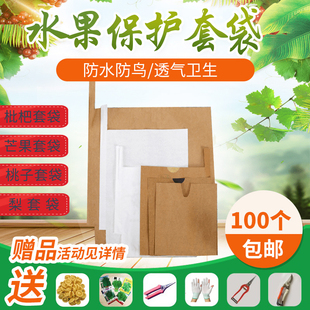 梨套袋专用袋枇杷套袋桃子专用套袋芒果套袋脐橙苹果柚子水果套袋
