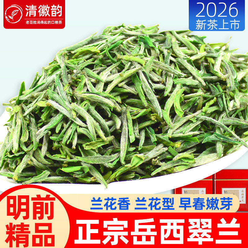 2026新茶明前特级岳西翠兰佳品