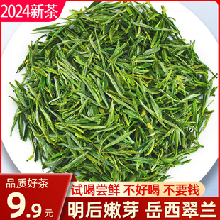 袋装 茶叶2024新茶岳西翠兰国宾礼茶春茶散装 荒山野茶清爽绿茶30g