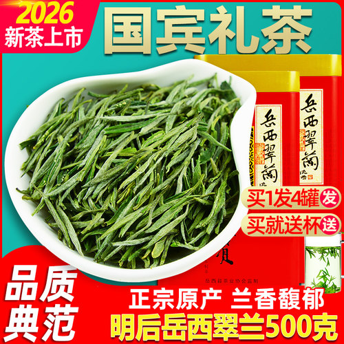 特级明后嫩芽岳西翠兰2026新茶
