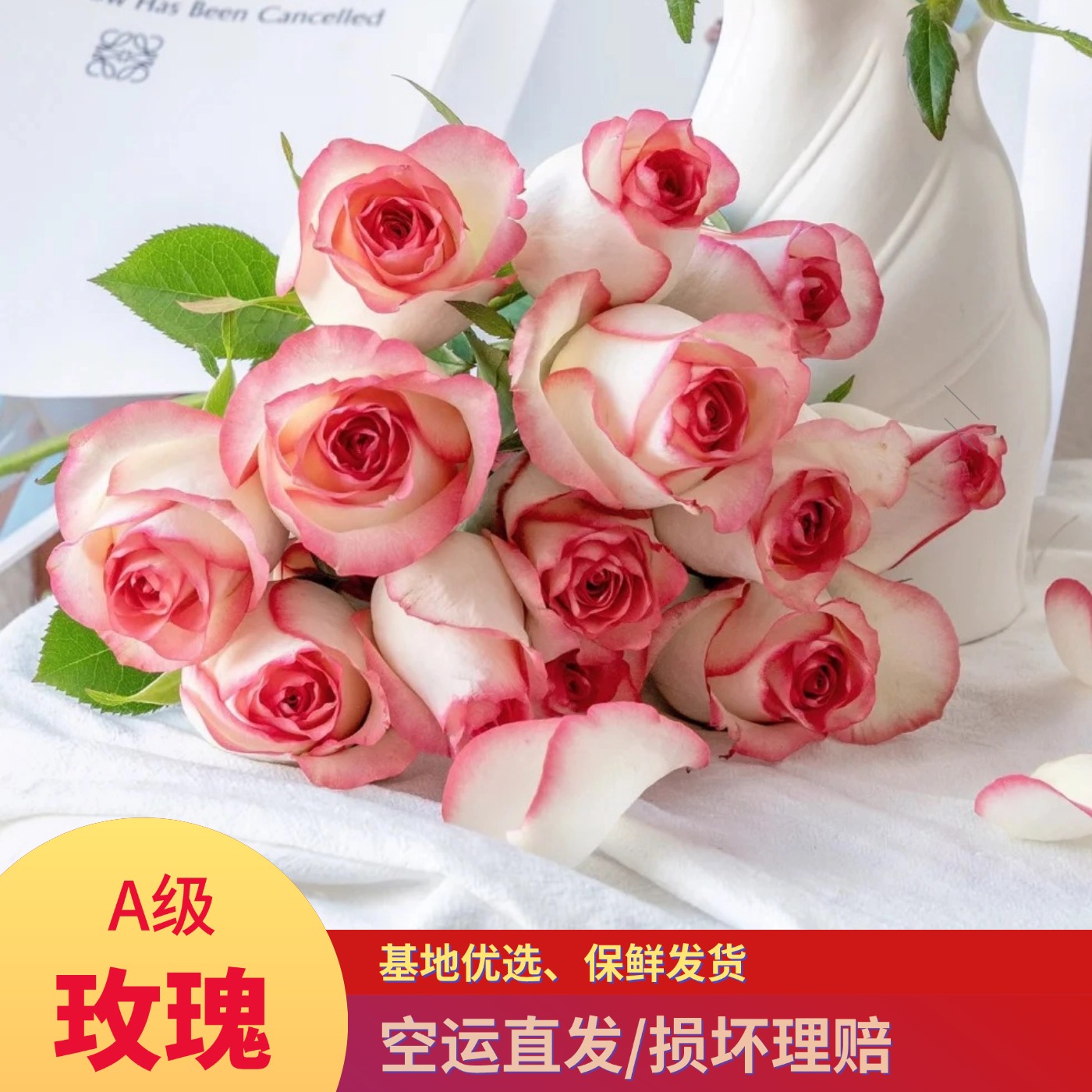 红玫瑰艾莎鲜花鲜切花云南昆明