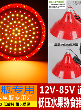12v LED灯泡低压生鲜熟食水果猪肉灯48v夜市灯摆地摊灯led电瓶灯
