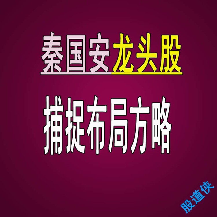 龙头股捕捉布局方略秦国安股票培训视频教程新手股民课程