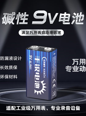 双鹿出品碱性9V电池丰银6LR61方块九伏万用表无汞耐用9伏专业录音设备叠层方块电池无线话筒测电表2粒干电池