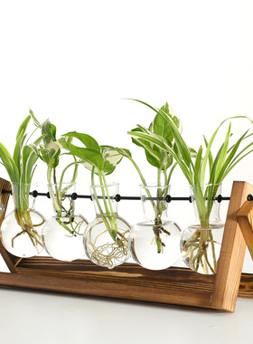水培透明玻璃花瓶简约室内家居桌面木架绿植绿萝容器装饰摆件