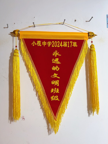 定做锦旗三角旗流动红旗幼儿园