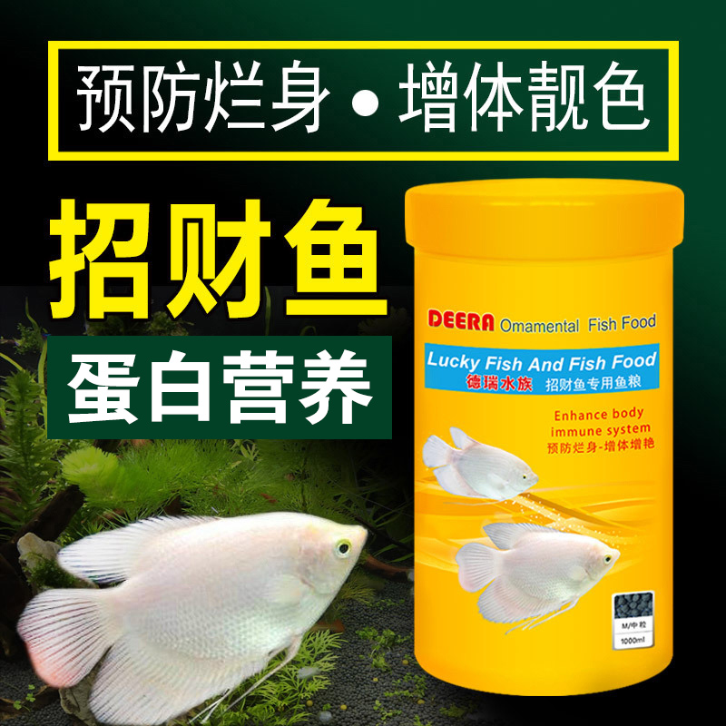 德瑞招财地图鱼战船红黑招财鱼饲料