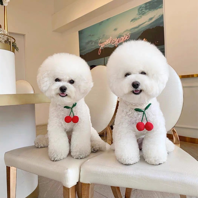 宠物猫咪狗狗手工diy材料包针织围脖樱桃项圈博美泰迪中小犬饰品