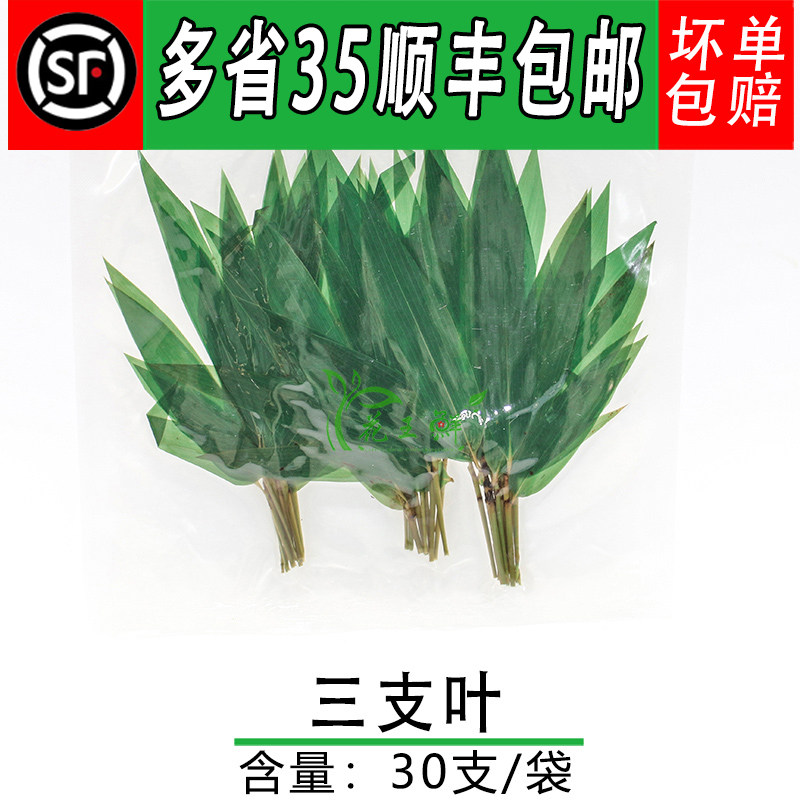 新鲜三枝叶小竹叶西餐冷盘摆盘