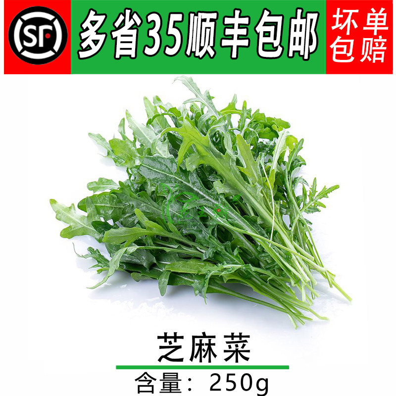 新鲜芝麻菜新鲜蔬菜火箭菜沙拉菜
