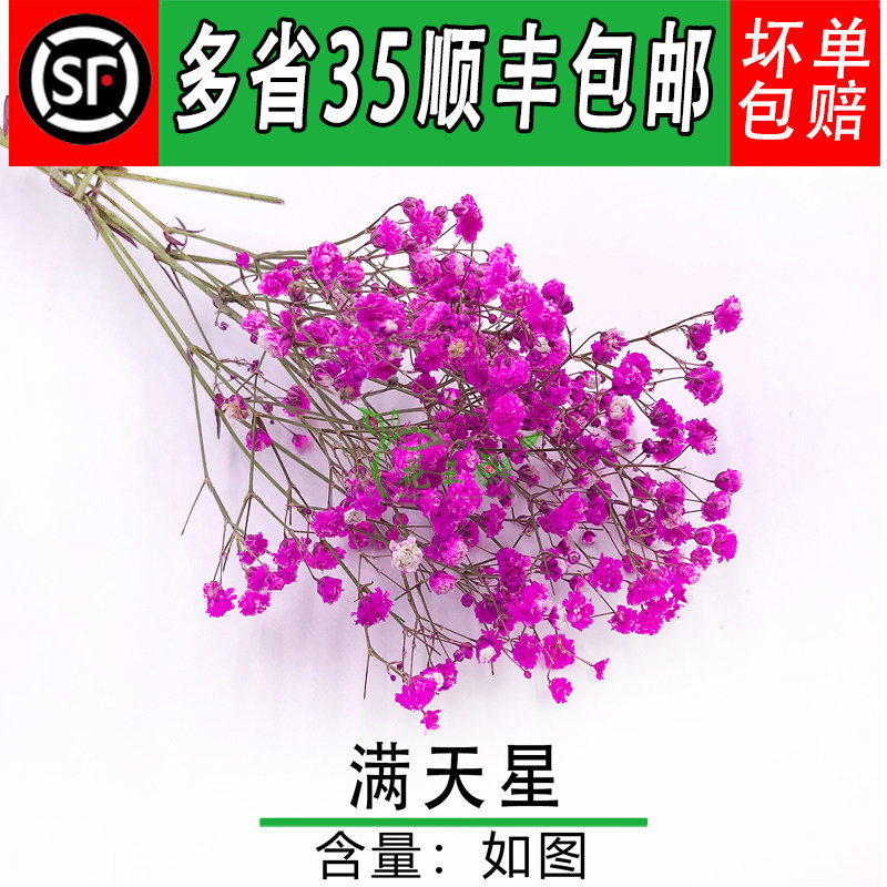 新鲜红色满天星一把餐饮摆盘鲜花