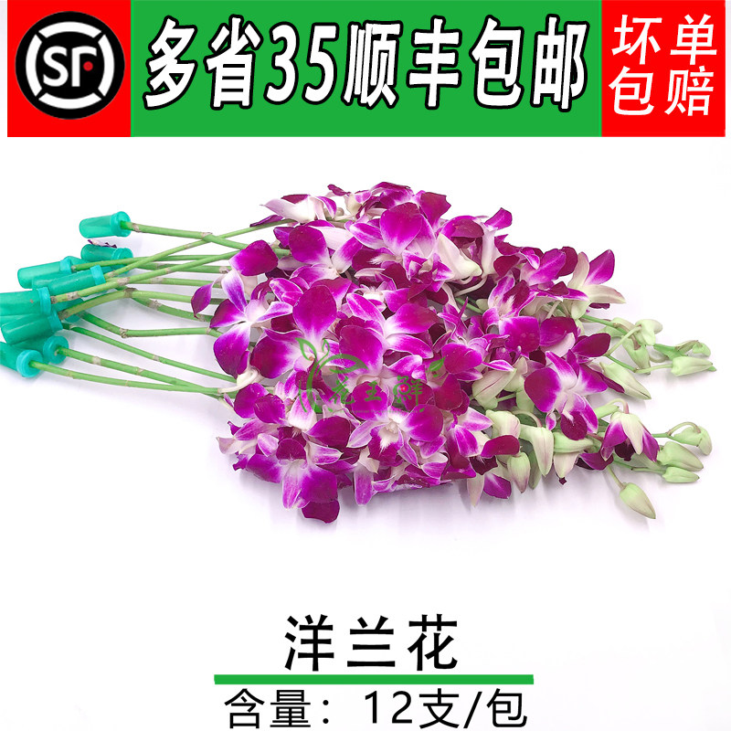 新鲜 杨兰花 洋兰花 石斛兰 1把酒店摆盘婚庆装饰插花篮