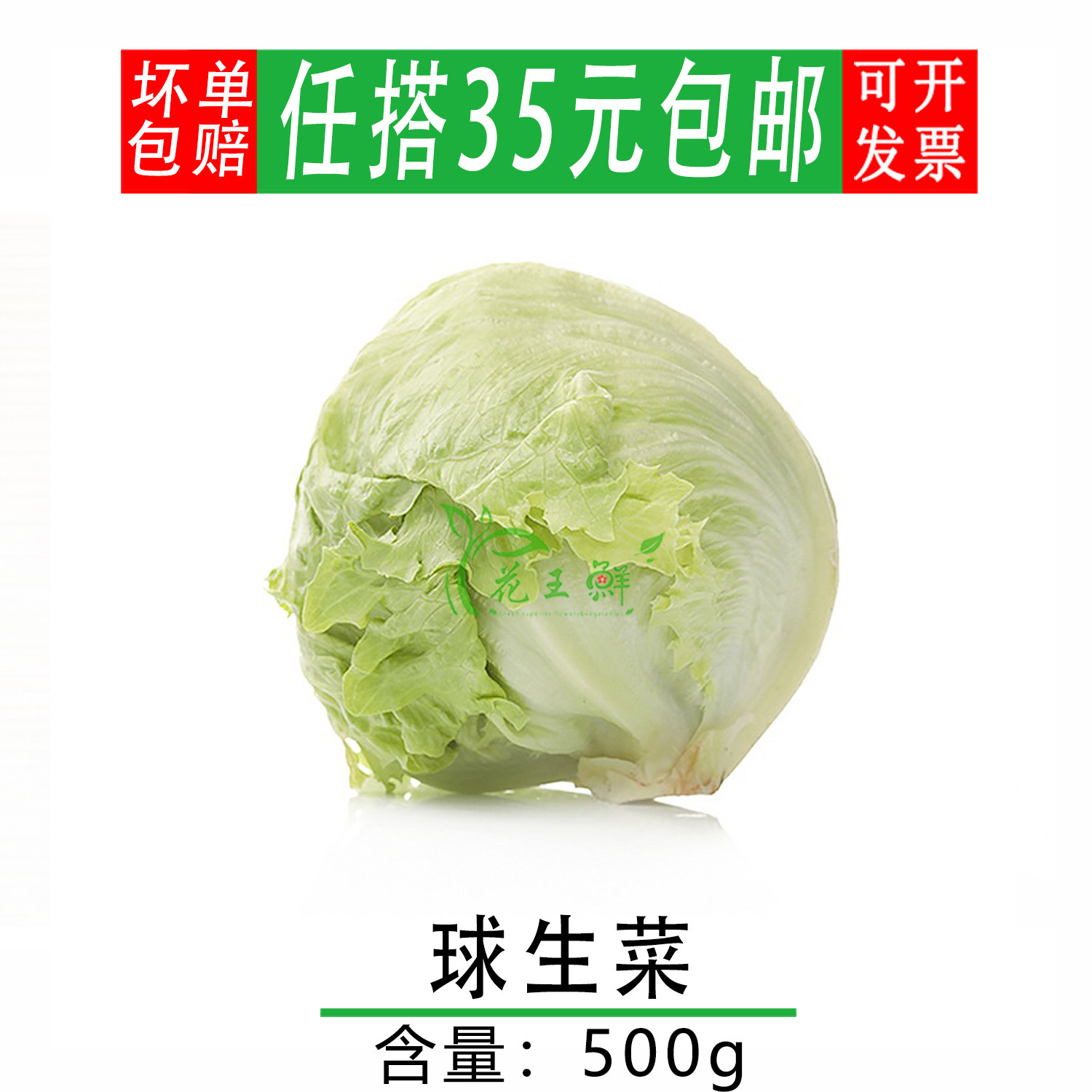 球生菜新鲜球形生菜500g蔬菜