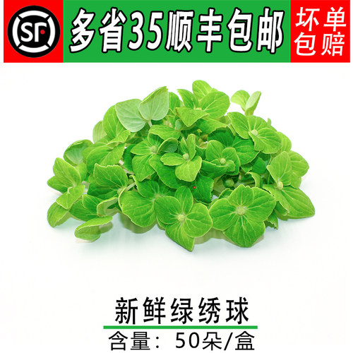 摆盘装饰鲜花蛋糕装饰叶