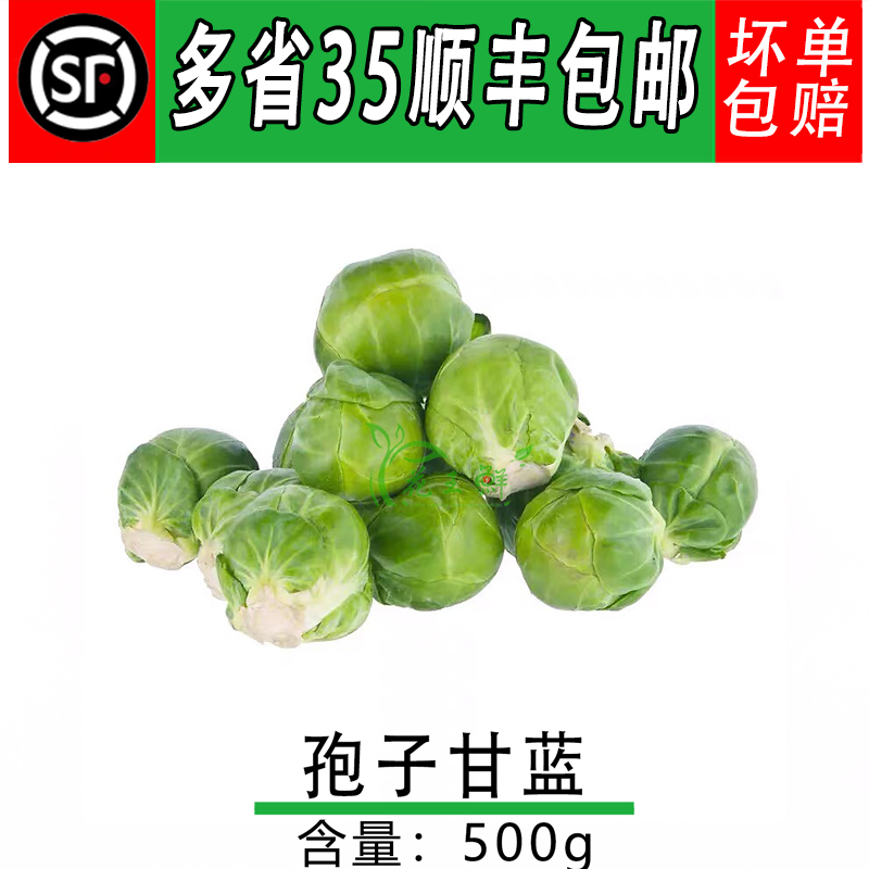 新鲜抱子甘蓝 孢子甘蓝 小包菜 芽甘蓝沙拉菜卷心菜500g