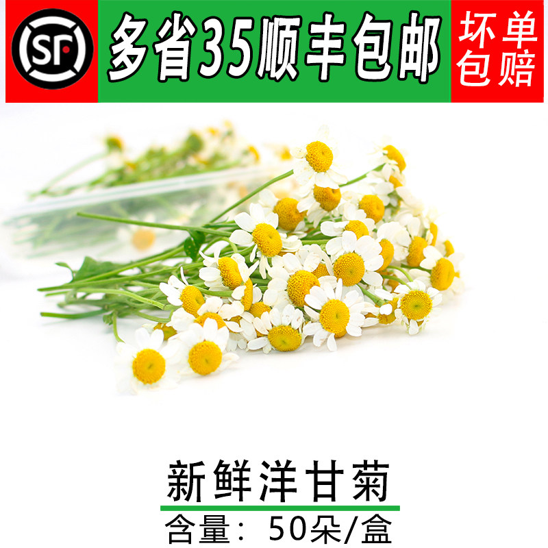 新鲜洋甘菊餐饮日料冷盘蛋糕摆盘