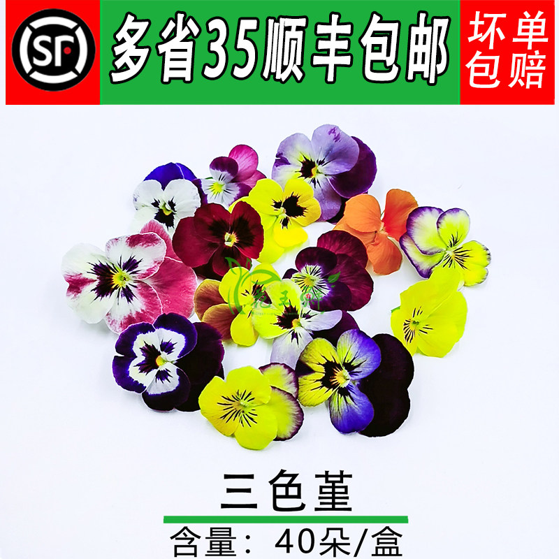 新鲜三色堇 三色花 鲜花草酒店西餐摆盘烘焙装饰点缀40朵/盒