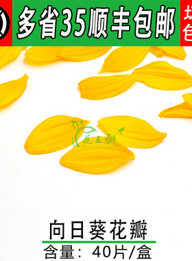 新鲜 葵花瓣 黄色花瓣 向日葵花瓣 西餐日料烘焙酒店摆盘装饰点缀